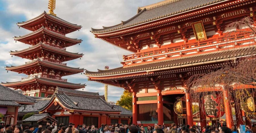 Tokyo: Private Walking Tour with a Local Guide - What To Expect from the Tour