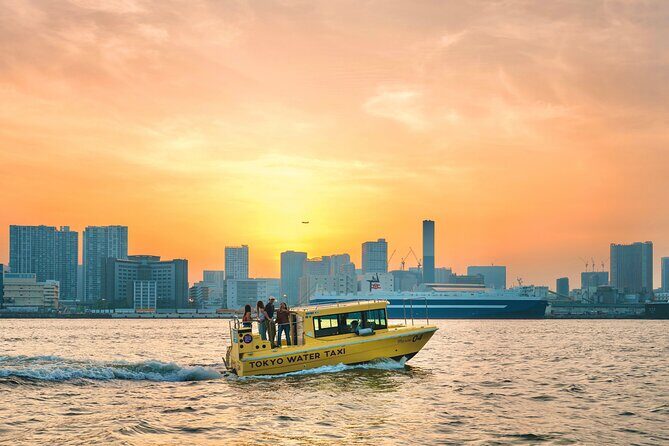 Tokyo: Seagull Feeding or Sunset Bay Cruise with Local Guide - Who Is This Tour Best For?