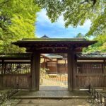 Tokyo: Shibuya E-Scooter Guided Tour in Hidden Neighborhood - Practical Tips for Future Riders