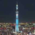 Tokyo Sightseeing/ City Tour by Private Car with English Guide - Key Points