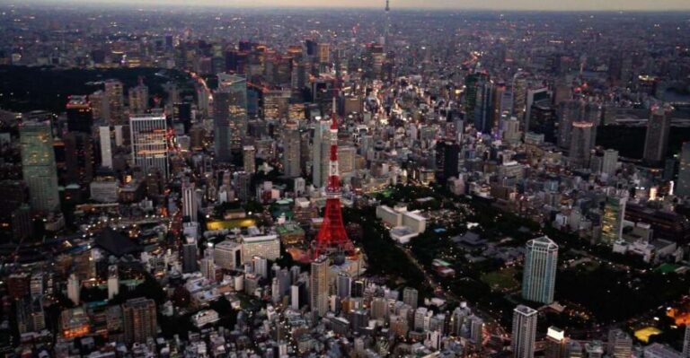 Tokyo Sightseeing Helicopter Tour for 5 Passengers - The Value of the Experience