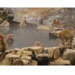 Tokyo: Snow Monkey & Nagano Customiseable Private Day Tour - An In-Depth Look at the Itinerary and Experience