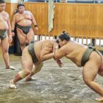 Tokyo: Sumo Morning Practice Viewing Tour at a Real Stable - The Unique Appeal of This Sumō Tour