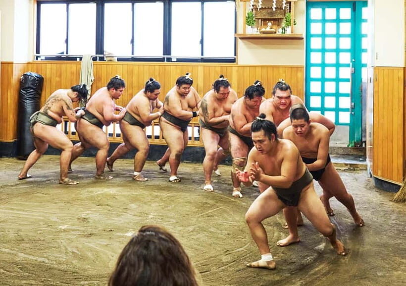 Tokyo: Sumo Morning Practice Viewing Tour at a Real Stable - Why You Should Consider This Tour
