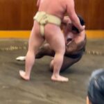 Tokyo: Sumo Morning Practice with Photo Banzuke and Guide - Analyzing the Value