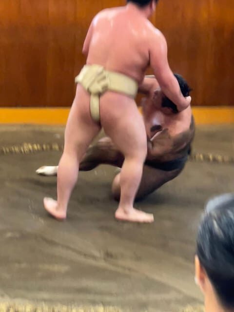 Tokyo: Sumo Morning Practice with Photo Banzuke and Guide - Analyzing the Value