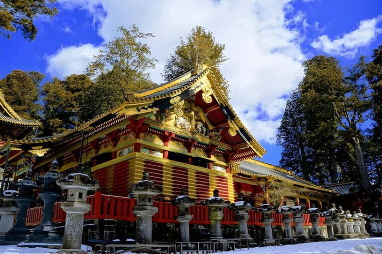 Tokyo to Nikko Private Day Tour with English-Speaking Driver - Who Is This Tour Best For?
