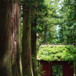 Tokyo: Togakushi Sacred Trail Day Tour with Shinkansen - An Introduction to the Tour Experience