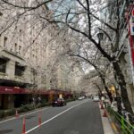 Tokyo Tour with Private Vehicle and English Speaking Guide - Deep Dive into the Itinerary