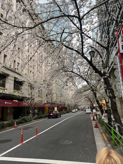 Tokyo Tour with Private Vehicle and English Speaking Guide - Deep Dive into the Itinerary