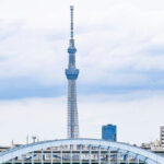 Tokyo Unlocked: A Private Day of Culture, Cuisine & City Secrets - The Itinerary Breakdown