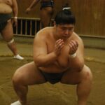 Tokyo: Visit To Sumo Stable & Watch Morning Practice - Guides and Educational Content