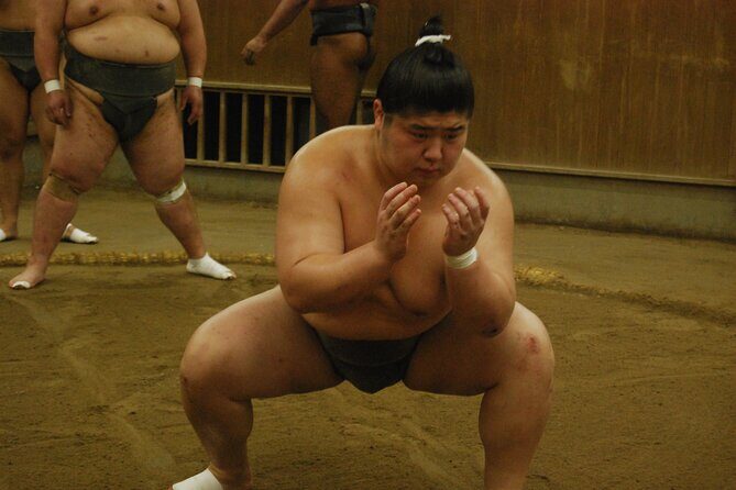 Tokyo: Visit To Sumo Stable & Watch Morning Practice - Guides and Educational Content