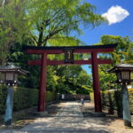 Tokyo: Yanaka & Ueno,  Tokyo of Tradition Guided Tour - Who Will Love This Tour?
