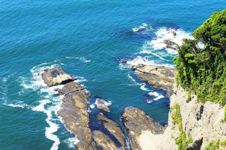 Tokyo Yokohama Night View Tour With Kamakura And Enoshima - Transportation & Group Dynamics