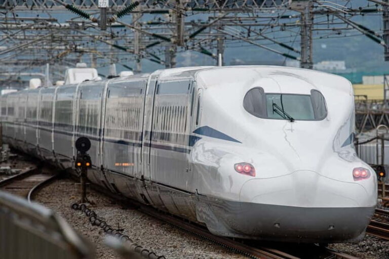 Tokyo:Hakone,Mt.Fuji,Cruise,ropeway,w/lunch,Shinkansen - Savoring a Delicious Lunch with a View