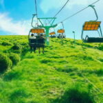 Tokyo:Izu Penisula Train Mt Omuro, Capybara Sightseeing Trip - The Value of This Tour