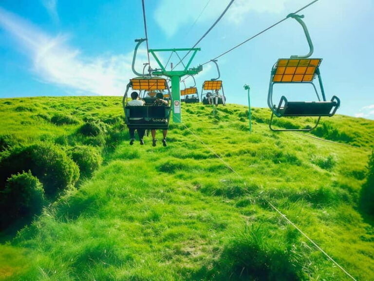 Tokyo:Izu Penisula Train Mt Omuro, Capybara Sightseeing Trip | The ...