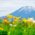Tokyo:Mt. Fuji 5th Station&Onsen Day Trip | Seasonal Special - Who Will Love This Tour?
