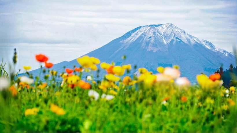 Tokyo:Mt. Fuji 5th Station&Onsen Day Trip | Seasonal Special - Who Will Love This Tour?