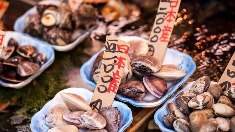 Tokyos Tsukiji Fish Market: Tastings, Culture & Shrine Tour - Who This Tour Is Best For