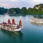 Top Tier: All-Inclusive OVERNIGHT Halong Cruises - many options - Who Will Love This Cruise?