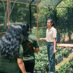 Tree of Life's Coffee Heritage Trail - Practical Tips for a Great Experience