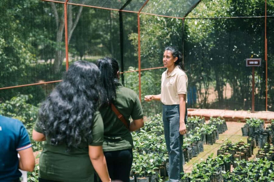 Tree of Life's Coffee Heritage Trail - Practical Tips for a Great Experience