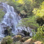 Trek Botanic Garden & Discover Phong Nha Cave Boat Tour - What the Tour Includes & What to Expect