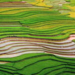 Trekking and Motorbike full day in Mu Cang Chai - Who Should Consider This Tour?