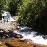 Trekking to Hidden Waterfall & Sturgeon Farm for dog-lovers - Visiting the Sturgeon Farm: An Unexpected Highlight