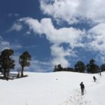 Trek's around Mussoorie - Price and Value: What You Get for $17.23