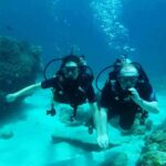 Try Scuba Diving at Padang Bai - The Details That Matter