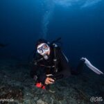 Try Scuba Diving for Beginners with manta rays (Non - Certified) - A Closer Look at the Itinerary and What You’ll Experience