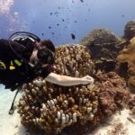 Try Scuba Diving in Racha Yai and Noi for Non-Certified - Itinerary Breakdown