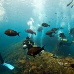 Tulamben Diving Tour Shipwreck USS Bali - The Experience Through Travelers’ Eyes