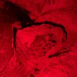 Turtle Tales of Pulau Banyak - Who Will Love This Tour?