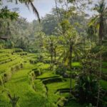 Ubud: Best of Ubud Private Day Tour with Local Guide - What the Tour Includes & Practical Considerations