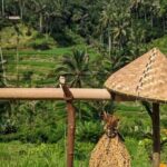 Ubud Half Day Zipline and Jungle Swing - The Jungle Swing: A Unique Photo Opportunity