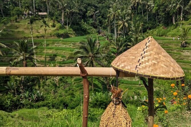 Ubud Half Day Zipline and Jungle Swing - The Jungle Swing: A Unique Photo Opportunity