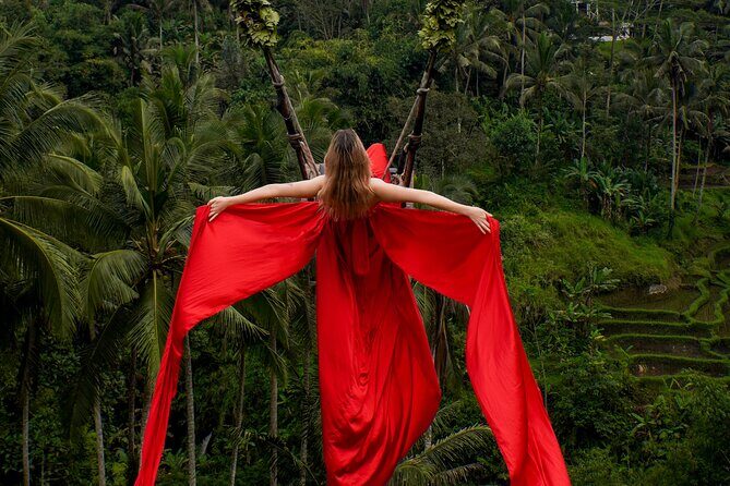 Ubud Monkey Forest, Scenic Rice Terrace with Swing and Waterfall - Possible Drawbacks or Considerations