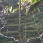Ubud Private & Customize Day Tour - What It Means for Travelers