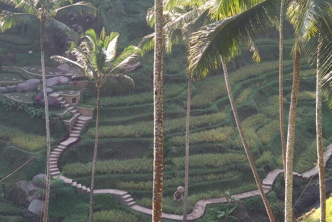 Ubud Private & Customize Day Tour - What It Means for Travelers