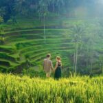 UBUD Private Tour  Rice Terrace, Jungle Swing & Hidden Waterfall - Who Is This Tour Best For?