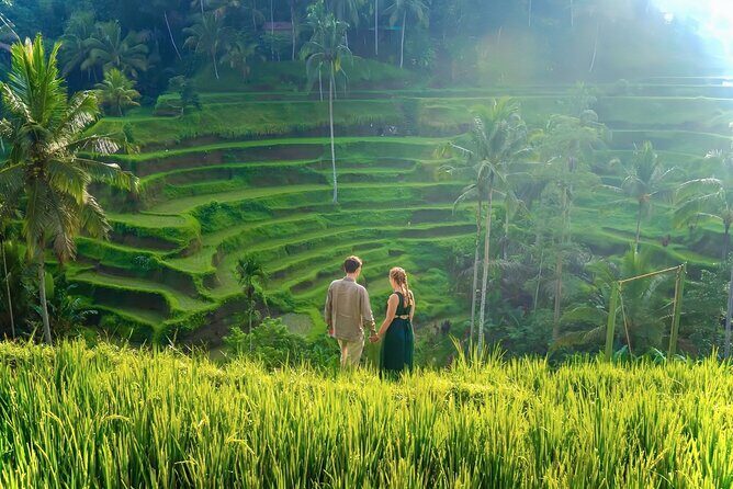 UBUD Private Tour  Rice Terrace, Jungle Swing & Hidden Waterfall - Who Is This Tour Best For?