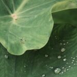 Ubud private tours - Practical Details and What to Expect