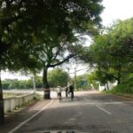 Udaipur: Countryside E-Bike Tour with Refreshments - Who Would Enjoy This Tour?