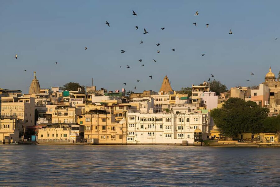 Udaipur Full Day City tour with Boat Ride and Lunch - The Gardens of Saheliyon Ki Bari