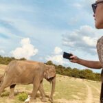 Udawalawe National Park 6-Hour Private Safari Tour - Why This Tour Works Well