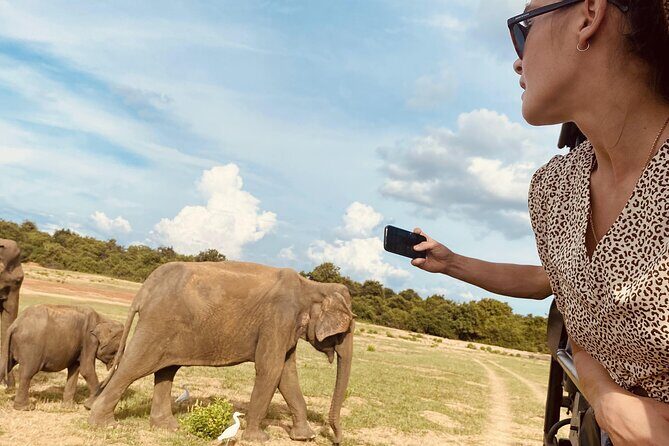 Udawalawe National Park 6-Hour Private Safari Tour - Why This Tour Works Well